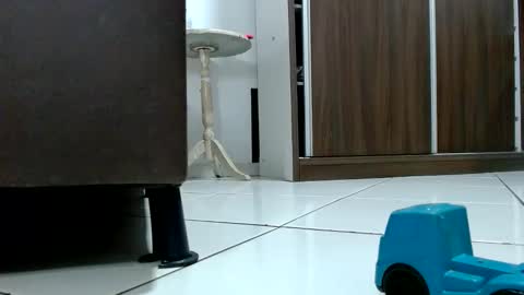 Tamires e Maicon online show from 9, 10, 2025