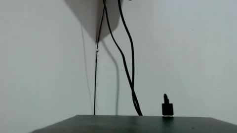 Tamires e Maicon online show from 3, 11, 2025