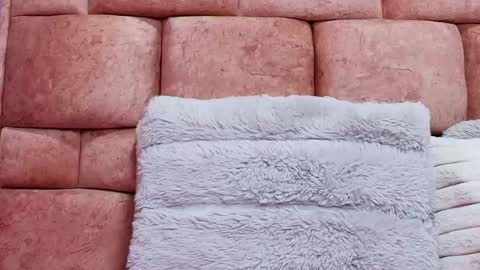 Kate Froz online show from 10, 3, 2025