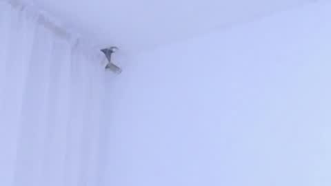 Snapshot of katejolie chatting on 8, 1, 2026 Help me with rate thanks online show from 8, 1, 2026