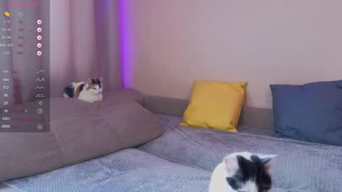 Katerina online show from 30, 1, 2025