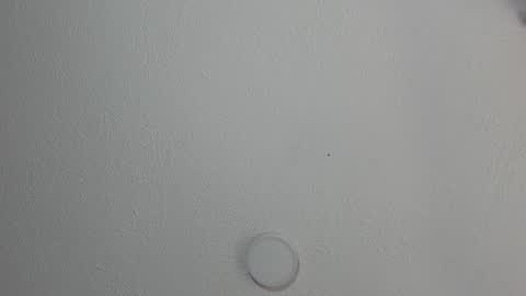 Snapshot of katestone_again chatting on 17, 1, 2025 love meeee online show from 17, 1, 2025