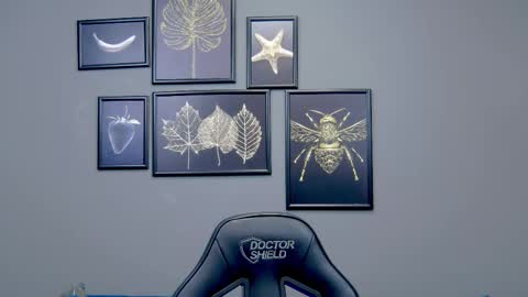 Kate online show from 7, 3, 2025