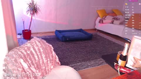 pvt open online show from 25, 12, 2024