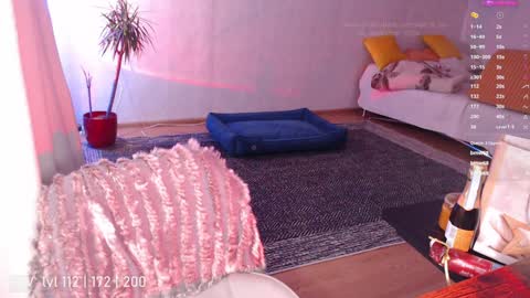 pvt open online show from 25, 12, 2024