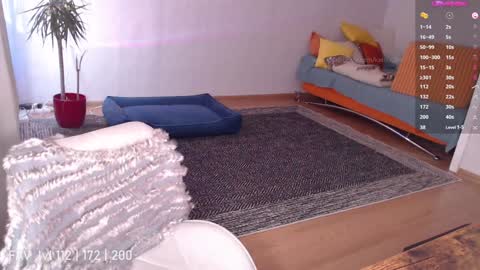 pvt open online show from 8, 2, 2025