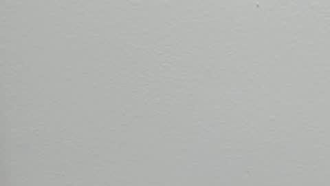 katy blonde girl and paola big boobs online show from 24, 9, 2025