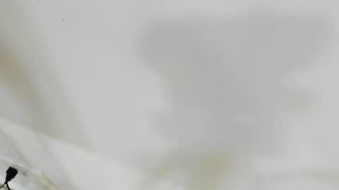 katy blonde girl and paola big boobs online show from 17, 6, 2026