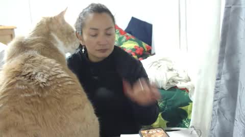  Khawit  online show from 15, 1, 2026