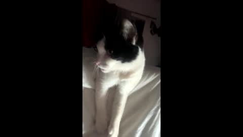 kay_la online show from 4, 10, 2025