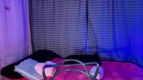 Kaylee online show from 19, 11, 2025