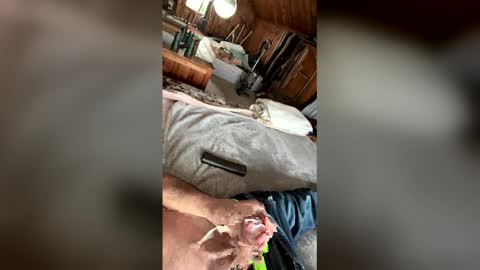 kckc40000 online show from 14, 1, 2026