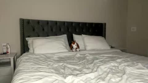 Snapshot of kekeoutlaw chatting on 13, 2, 2026 Kekeoutlaw online show from 13, 2, 2026