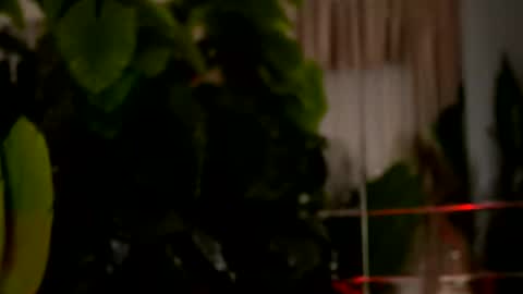 Snapshot of kellymathews chatting on 29, 3, 2026 Denise online show from 29, 3, 2026