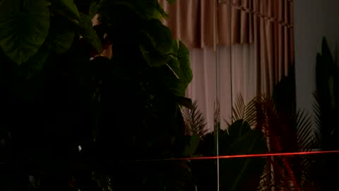 Snapshot of kellymathews chatting on 6, 4, 2026 Denise online show from 6, 4, 2026