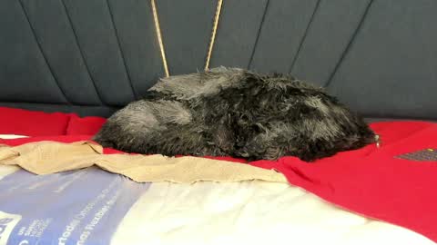 kendall_x0 online show from 11, 4, 2026