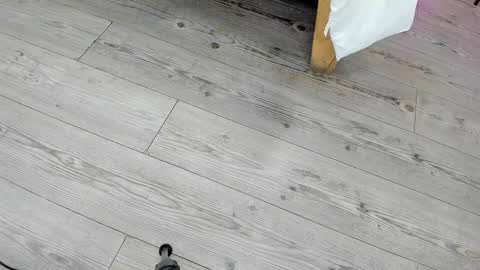 Snapshot of kendra_london chatting on 24, 2, 2026 Kendra London online show from 24, 2, 2026