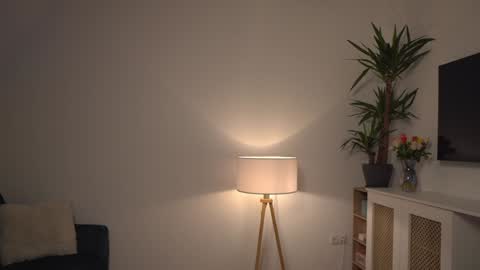 Kevin online show from 3, 1, 2025