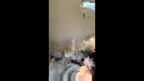 Snapshot of kevo495434 chatting on 13, 4, 2026 kevo495434 online show from 13, 4, 2026