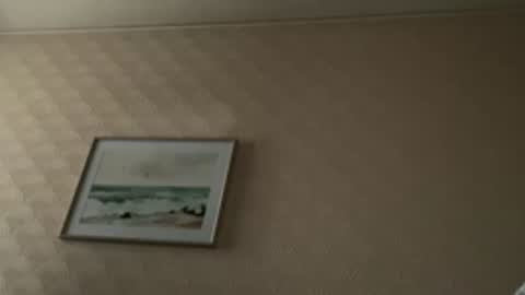 khelt online show from 6, 2, 2026