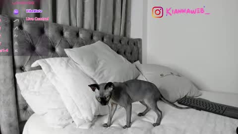 INSTAGRAM Kiannaweb  online show from 28, 2, 2025