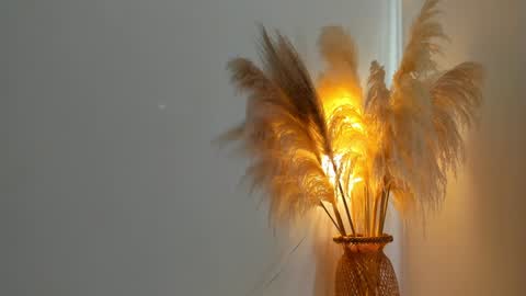 Kim Murphy online show from 31, 12, 2024