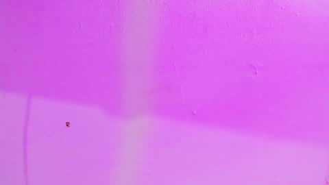 Your Queen KIM online show from 7, 12, 2024