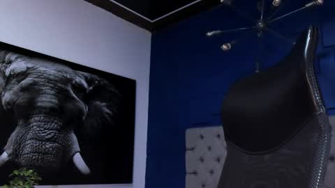 Angel Falconer online show from 1, 2, 2026