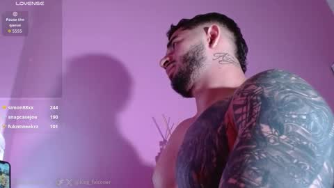 Snapshot of king_falconer chatting on 12, 3, 2026 Angel Falconer online show from 12, 3, 2026