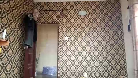 Snapshot of kingemizzy chatting on 3, 2, 2026 kingemizzy online show from 3, 2, 2026