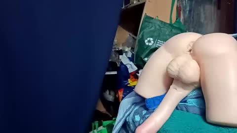 Snapshot of kingfisherrobbie chatting on 24, 10, 2025 Robbie  online show from 24, 10, 2025