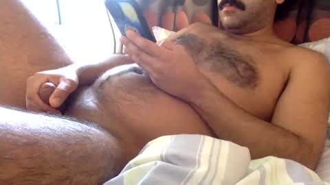 Snapshot of kingofpigs chatting on 14, 6, 2026 KingofPigs online show from 14, 6, 2026