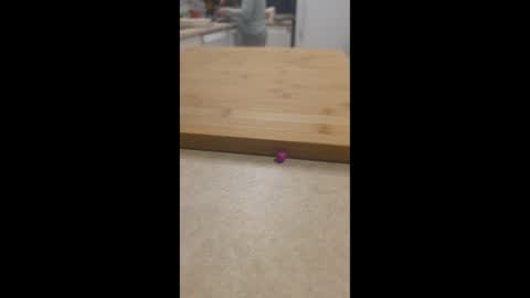 Maysie and Hunter online show from 16, 3, 2026