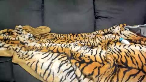 Kinky online show from 7, 1, 2026