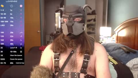Snapshot of kinkywolf87 chatting on 13, 1, 2025 kinkywolf87 online show from 13, 1, 2025