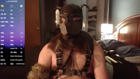 Snapshot of kinkywolf87 chatting on 20, 1, 2025 kinkywolf87 online show from 20, 1, 2025