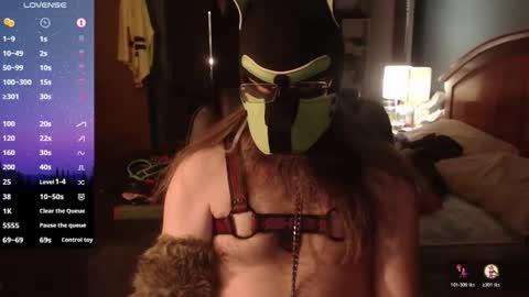 Snapshot of kinkywolf87 chatting on 26, 4, 2026 kinkywolf87 online show from 26, 4, 2026