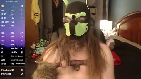 Snapshot of kinkywolf87 chatting on 20, 5, 2026 kinkywolf87 online show from 20, 5, 2026