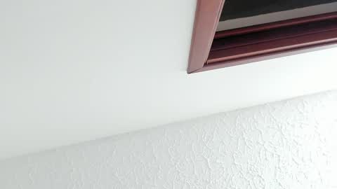 Sara online show from 27, 2, 2026