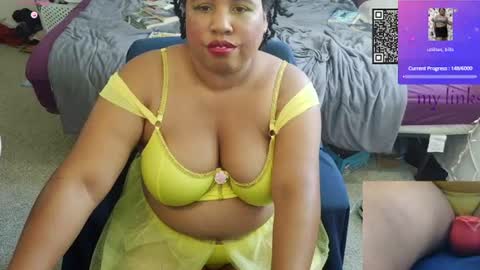 kitten online show from 25, 7, 2026
