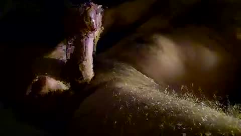 Kitkat loco online show from 28, 11, 2025