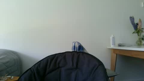 Snapshot of kitosssss chatting on 11, 12, 2024 Steve Cocks online show from 11, 12, 2024