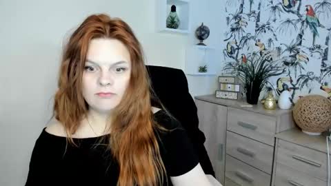 Kitten online show from 12, 5, 2026