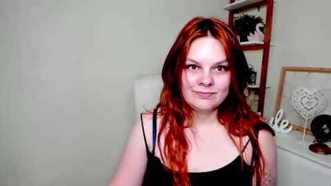 Kitten online show from 9, 6, 2026