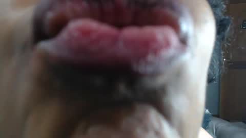 Snapshot of kitty_pervertedx chatting on 23, 1, 2025 kitty online show from 23, 1, 2025