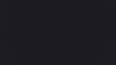 Kitty  online show from 16, 9, 2025