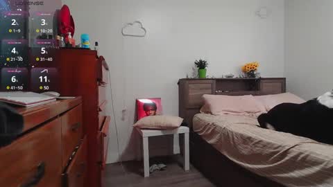 Kittyymaze online show from 3, 12, 2024