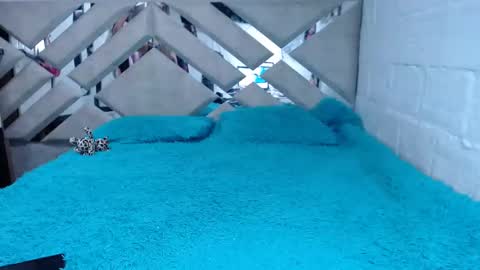 kittyzevee_ online show from 8, 2, 2025