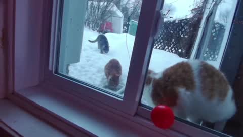 kiveuxmakeu online show from 27, 12, 2024