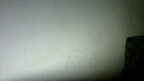kiwono1260 online show from 31, 5, 2026